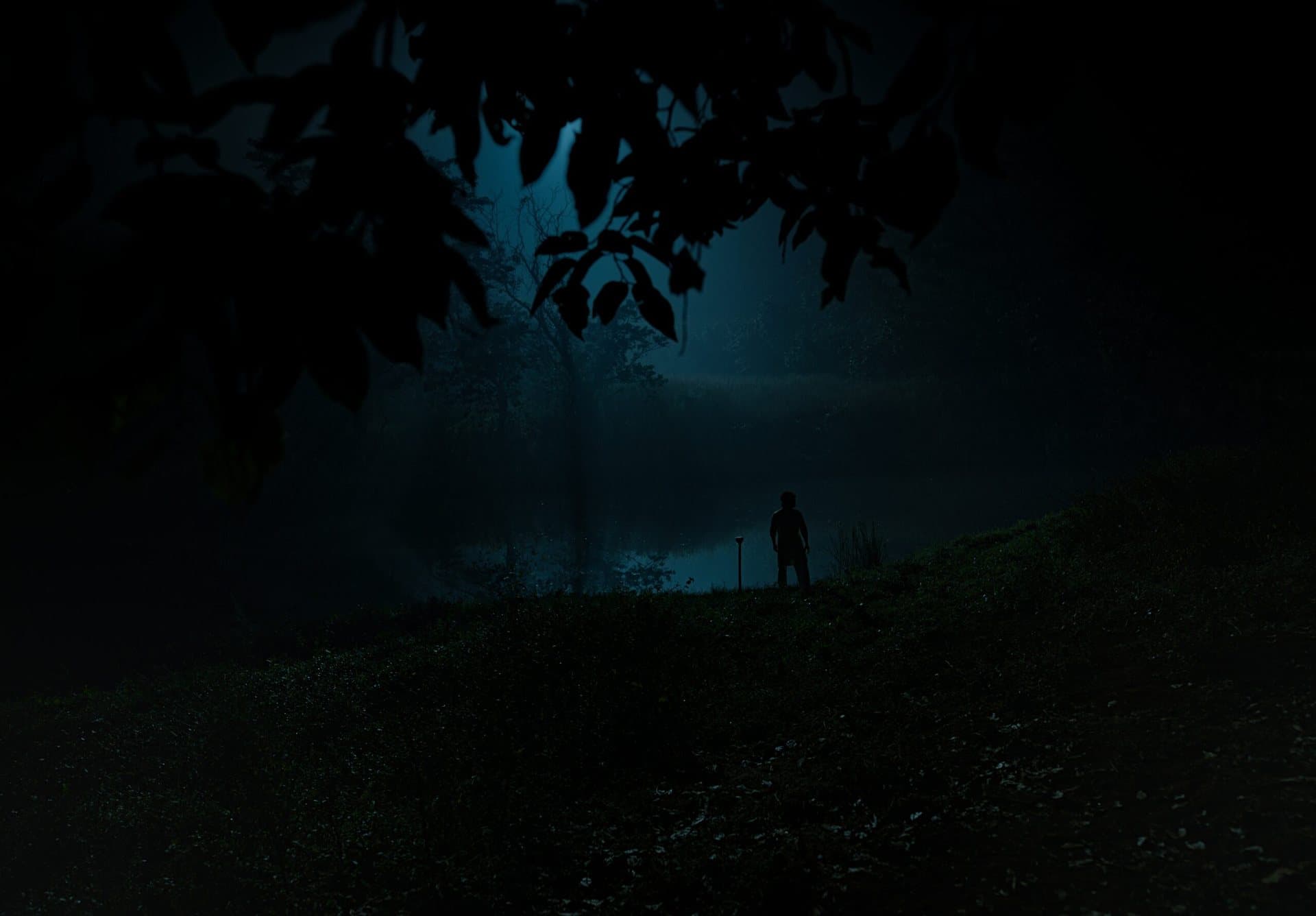 Silhouette of a man standing on a grassy riverbank at night, moonlit mist over the water, framed by dark leaves.
